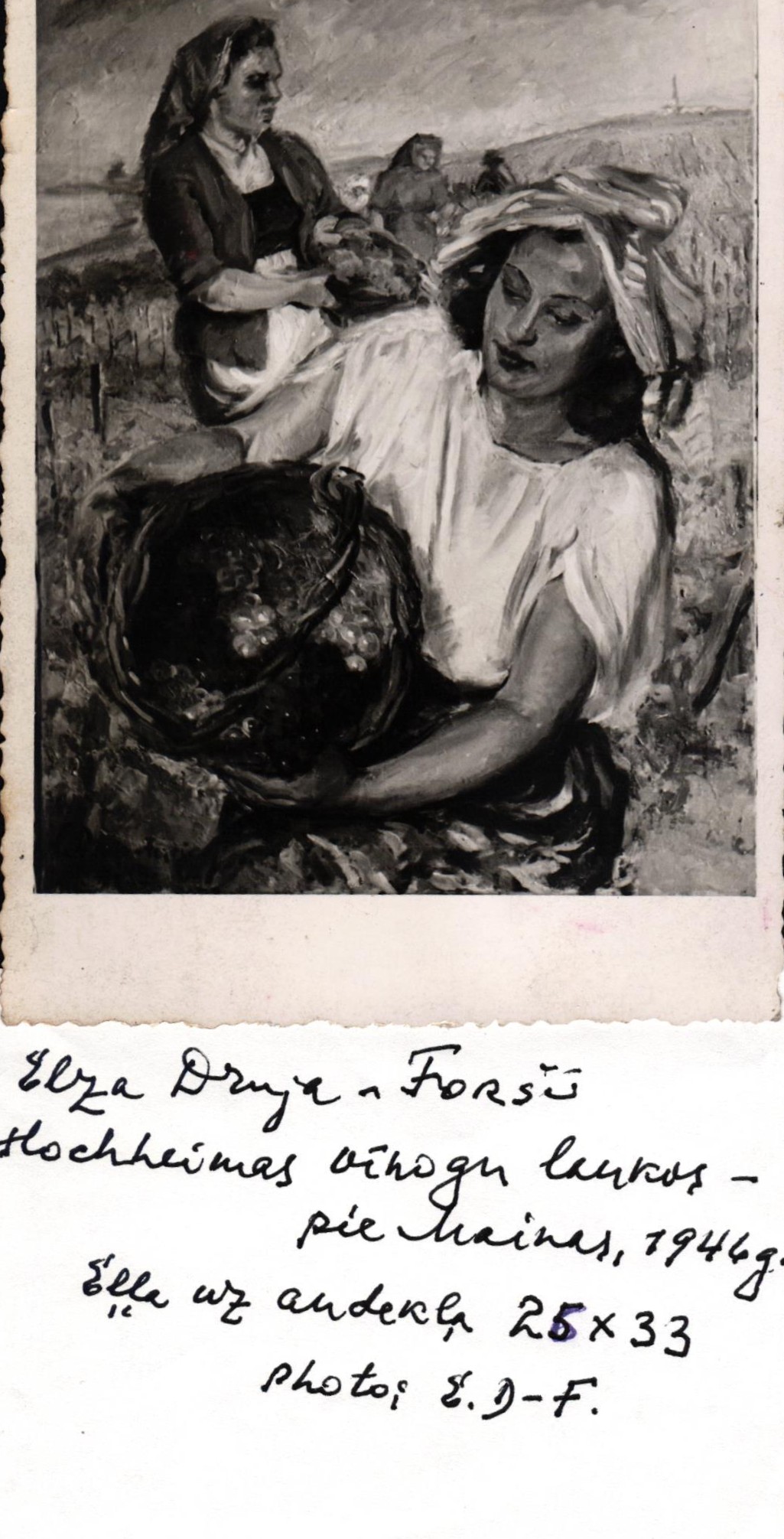 Elzas Drujas-Foršū gleznas "Hocheimas vīnogu laukos – pie Mainas" fotoreprodukcija. 1946. gads.