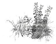 Uzspiest lai palielinātu